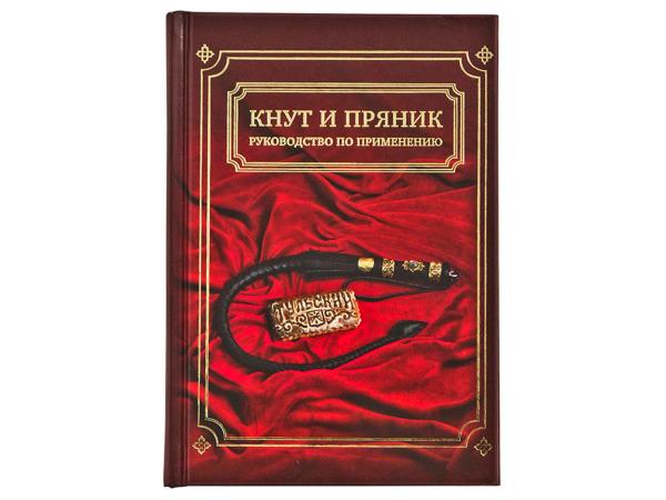 Подарочный набор "Кнут и пряник" кожаная с камнем ручка, книжка